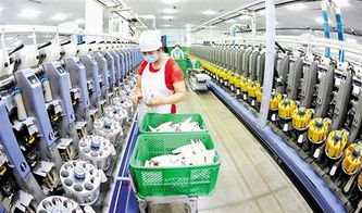 東光 傳統紡織業走上 現代路