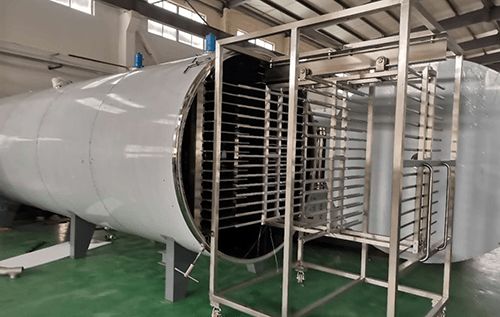 食品凍干機應(yīng)用于即溶果蔬沙拉凍干加工