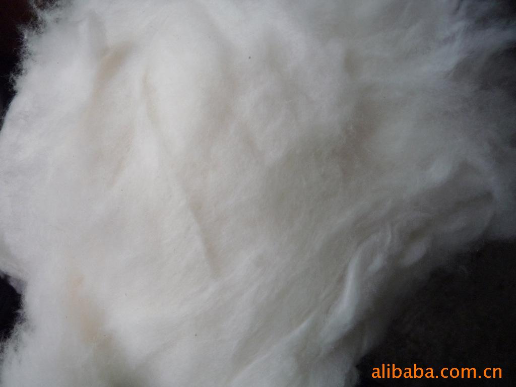 【棉花 在生棉花 布邊 化纖 滌綸 粘膠】價(jià)格,廠家,圖片,其他紡織廢料,永嘉縣橋下鎮(zhèn)路斯無紡布加工廠-