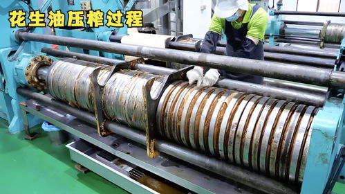 揭秘花生加工廠(chǎng),原來(lái)花生油是這樣壓榨出來(lái)的,又長(zhǎng)見(jiàn)識(shí)了
