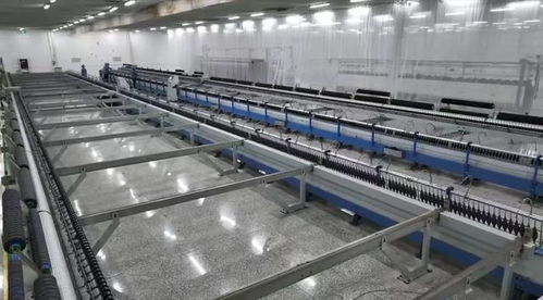 矚目 寧夏新澳羊絨,作為民營經濟閃耀典范,引領產業大步跨越