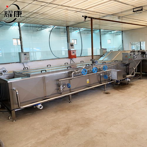 全自動果蔬漂燙機 玉米生產加工設備