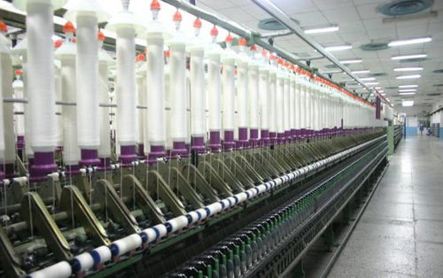 行業(yè)低靡 這家紡企的年利潤卻在10年里增長(zhǎng)了305