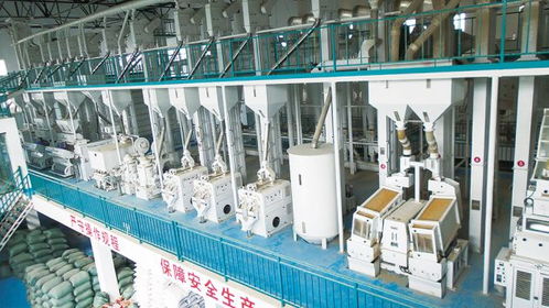 保山市農產品加工業邁上高質量發展新臺階