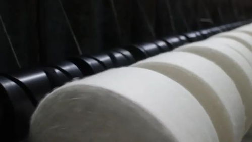 太美紡織 不斷前進,讓更多人選擇太美