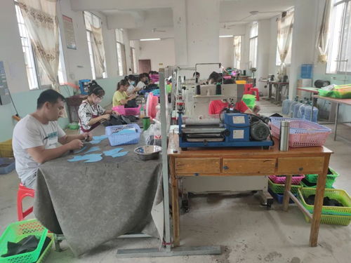 村民家門(mén)口端上 產(chǎn)業(yè)碗 吃上 致富飯