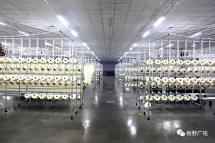 上馬染整項(xiàng)目,打通全產(chǎn)業(yè)鏈 新野紡織服裝產(chǎn)業(yè)再升級(jí)