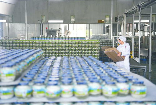 農(nóng)業(yè)園區(qū)引領全力打造農(nóng)業(yè)高質量發(fā)展 火車頭