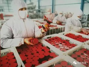 雞澤之約 攜手共創(chuàng)紡紗銷售新篇章